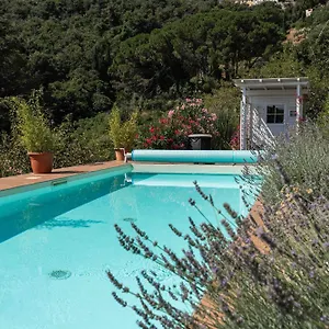 Shanti Yoga & Meditation Marciana (Isola d'Elba)